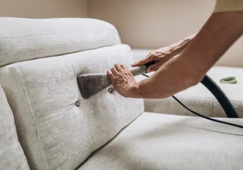 best upholstery cleaning service south coast sydney